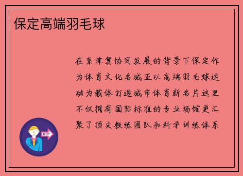 保定高端羽毛球