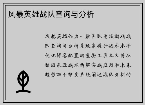 风暴英雄战队查询与分析