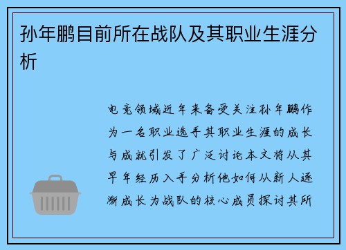 孙年鹏目前所在战队及其职业生涯分析